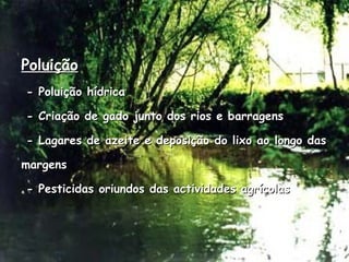 Poluição - Poluição hídrica - Criação de gado junto dos rios e barragens - Lagares de azeite e deposição do lixo ao longo das margens - Pesticidas oriundos das actividades agrícolas 