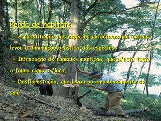 Perda de habitats - A substituição das espécies autóctones por outras, levou à diminuição drástica das espécies - Introdução de espécies exóticas, que afecta tanto a fauna como a flora.  - Desflorestação, que levou ao empobrecimento do solo 