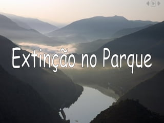 Extinção no Parque 