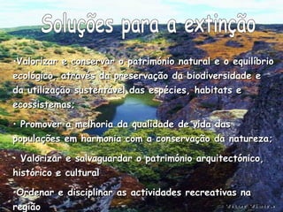 Soluções para a extinção Valorizar e conservar o património natural e o equilíbrio ecológico, através da preservação da biodiversidade e da utilização sustentável das espécies, habitats e ecossistemas; Promover a melhoria da qualidade de vida das populações em harmonia com a conservação da natureza; Valorizar e salvaguardar o património arquitectónico, histórico e cultural Ordenar e disciplinar as actividades recreativas na região 