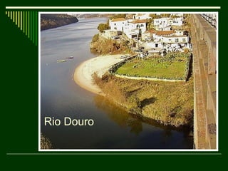 Rio Douro 