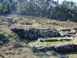 Castro de Alvarelhos - Trofa 