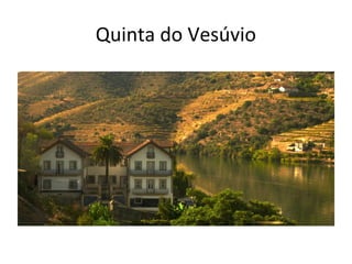 Quinta do Vesúvio
 