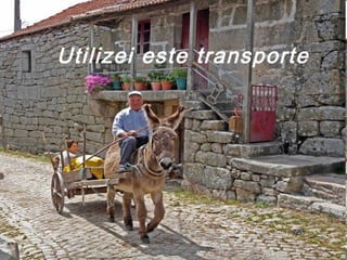 Utilizei este transporte