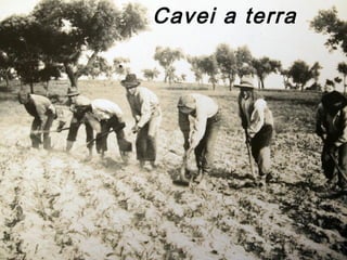 Cavei a terra
