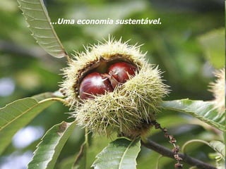 … Uma economia sustentável. 