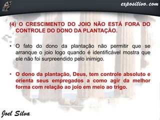 (4) O CRESCIMENTO DO JOIO NÃO ESTÁ FORA DO
CONTROLE DO DONO DA PLANTAÇÃO.
• O fato do dono da plantação não permitir que se
arranque o joio logo quando é identificável mostra que
ele não foi surpreendido pelo inimigo.
• O dono da plantação, Deus, tem controle absoluto e
orienta seus empregados a como agir da melhor
forma com relação ao joio em meio ao trigo.
 