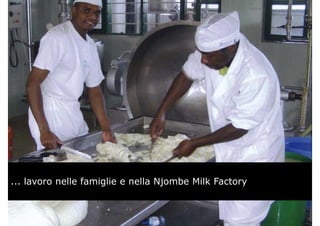... lavoro nelle famiglie e nella Njombe Milk Factory
 