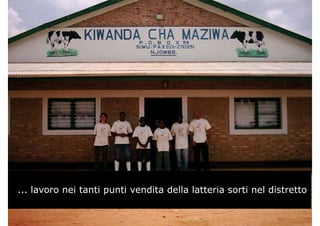 ... lavoro nei tanti punti vendita della latteria sorti nel distretto
 