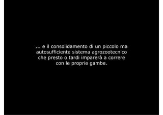 ... e il consolidamento di un piccolo ma
a tos fficiente sistema ag o ootecnicoautosufficiente sistema agrozootecnico
che presto o tardi imparerà a correre
con le proprie gambecon le proprie gambe.
 