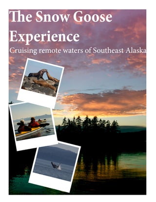 The Snow Goose
Experience
Cruising remote waters of Southeast Alaska
 