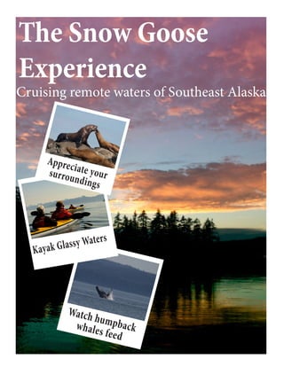 The Snow Goose
Experience
Cruising remote waters of Southeast Alaska
Kayak Glassy Waters
Watch humpbackwhales feed
Appreciate yoursurroundings
 