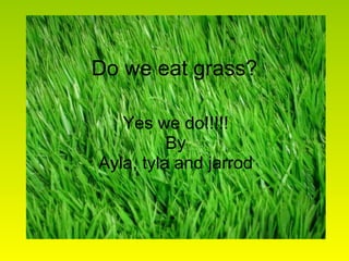 Do we eat grass? Yes we do!!!!! By Ayla, tyla and jarrod 