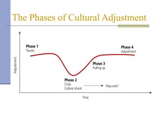 The Phases of Cultural Adjustment
 