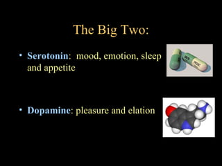 The Big Two:
• Serotonin: mood, emotion, sleep
  and appetite



• Dopamine: pleasure and elation
 