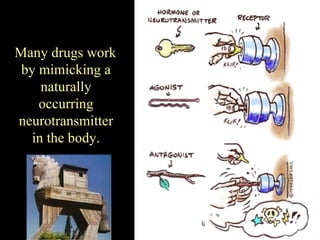 Many drugs work
 by mimicking a
     naturally
    occurring
neurotransmitter
   in the body.
 