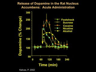 Release of Dopamine in the Rat Nucleus
  Accumbens: Acute Administration
                      300


Dopamine (% Change)   250                        Footshock
                                                  Sucrose
                                                  Cocaine
                      200                         Nicotine
                                                  Alcohol


                      150


                      100


                       50
                            0   60   120   180     240

                                Time (min)
      Kalivas, P. 2002
 