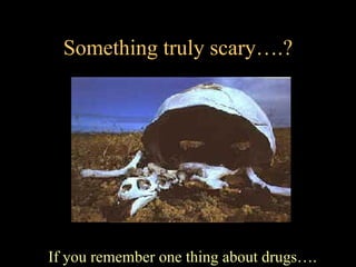 Something truly scary….?




If you remember one thing about drugs….
 