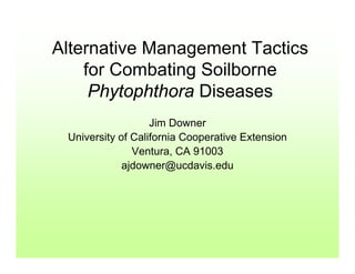 Alternative Management Tactics
    for Combating Soilborne
     Phytophthora Diseases
                   Jim Downer
 University of California Cooperative Extension
               Ventura, CA 91003
             ajdowner@ucdavis.edu
 
