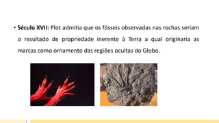 • Século XVII: Plot admitia que os fósseis observadas nas rochas seriam
o resultado de propriedade inerente à Terra a qual originaria as
marcas como ornamento das regiões ocultas do Globo.
 