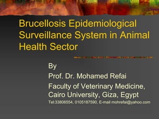 Brucellosis Epidemiological
Surveillance System in Animal
Health Sector
By
Prof. Dr. Mohamed Refai
Faculty of Veterinary Medicine,
Cairo University, Giza, Egypt
Tel:33806554, 0105187590, E-mail mohrefai@yahoo.com
 