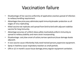 Vaccination failure
• Disadvantage of live vaccine:uniformity of application,reaction,spread of infection
to neibour,handling requirement.
• Advantages:low price,easy adminster,rapid immunity,broader protection as all
stages of virus replicating.
• Killed vaccine:not replicate and spread from bird to bird with adjuvant stabilize
vaccine for long immunity.
• Advantage:accuracy of uniform dose,safety inactivated,uniform immunity,no
spread to neibour,stability and more strain incorporating.
• Disadvantage: cost,slow onset of action,narrow spectrum,tissue damage duoto
adjuvant.
• In ovo vaccine cause infectionby hole,need trained persons,expensive equipment.
• Spray in hatchery cause respiratory reaction as small particle.
• I/M or s/c in marek’s cause tissue damage,stress,regular equipment sanitation.
 