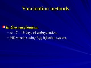 vaccination and its importance in poultry.ppt