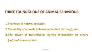 Animal behaviour. pdf | PDF