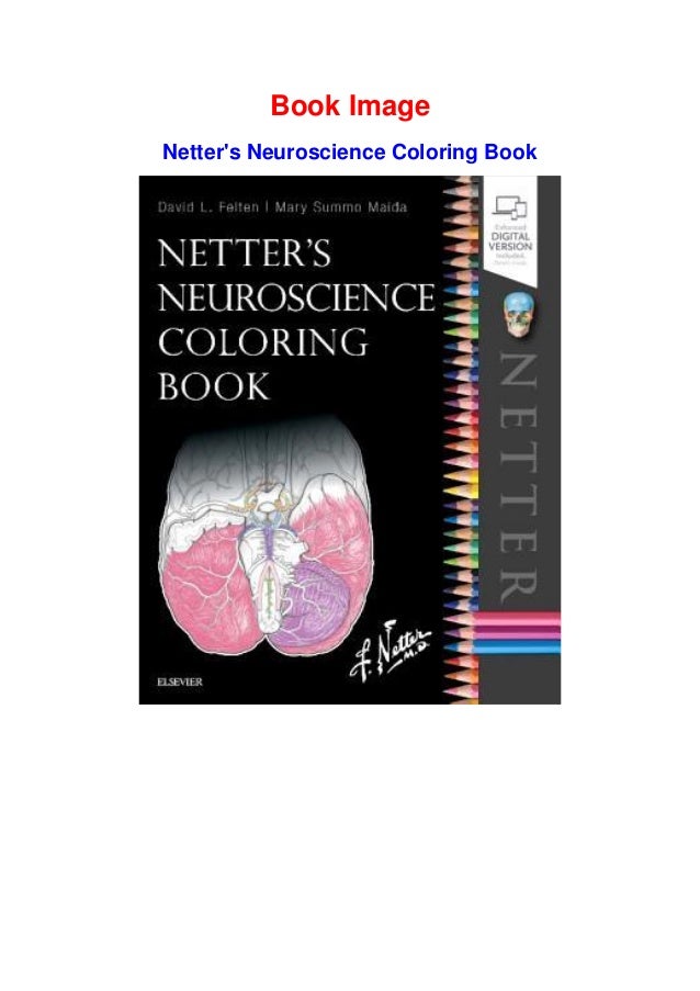 Download Download Epub Netter S Neuroscience Coloring Book Ebook Pdf
