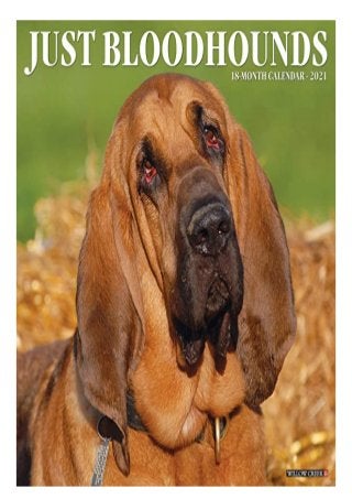Download Just Bloodhounds 2021 Wall Calendar Dog Breed Calendar Boo boo the dog calendar 2021