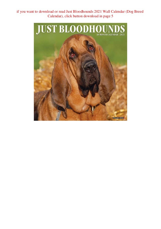 Download Just Bloodhounds 2021 Wall Calendar Dog Breed Calendar Boo boo the dog calendar 2021