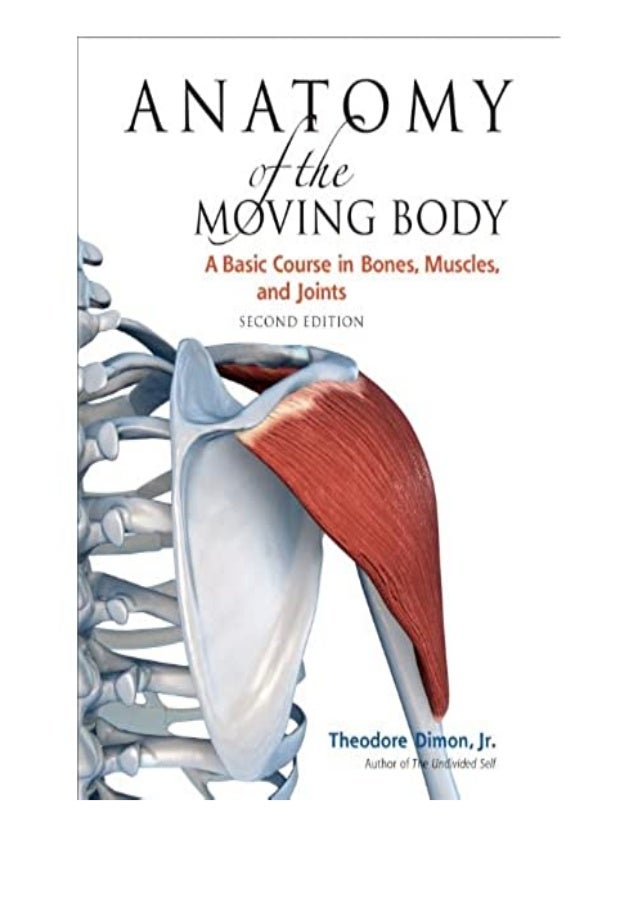 Anatomy Pictures Muscles And Bones Pdf Downloads - Anatomy ...