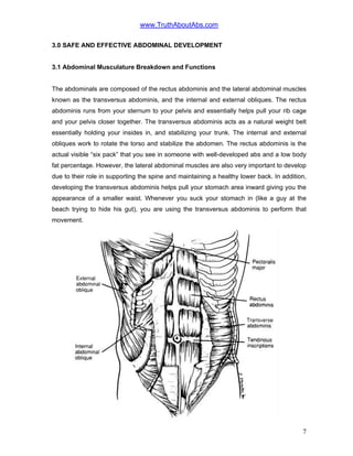 www.TruthAboutAbs.com
3.0 SAFE AND EFFECTIVE ABDOMINAL DEVELOPMENT
3.1 Abdominal Musculature Breakdown and Functions
The abdominals are composed of the rectus abdominis and the lateral abdominal muscles
known as the transversus abdominis, and the internal and external obliques. The rectus
abdominis runs from your sternum to your pelvis and essentially helps pull your rib cage
and your pelvis closer together. The transversus abdominis acts as a natural weight belt
essentially holding your insides in, and stabilizing your trunk. The internal and external
obliques work to rotate the torso and stabilize the abdomen. The rectus abdominis is the
actual visible “six pack” that you see in someone with well-developed abs and a low body
fat percentage. However, the lateral abdominal muscles are also very important to develop
due to their role in supporting the spine and maintaining a healthy lower back. In addition,
developing the transversus abdominis helps pull your stomach area inward giving you the
appearance of a smaller waist. Whenever you suck your stomach in (like a guy at the
beach trying to hide his gut), you are using the transversus abdominis to perform that
movement.
7
 
