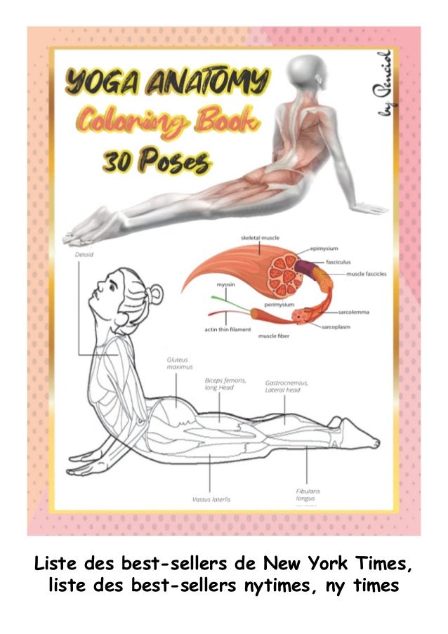 Download Download Pdf Yoga Anatomy Coloring Book An Adult Coloring Book