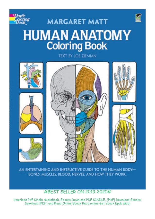 Download Download Read Human Anatomy Coloring Book An Entertaining And Instru