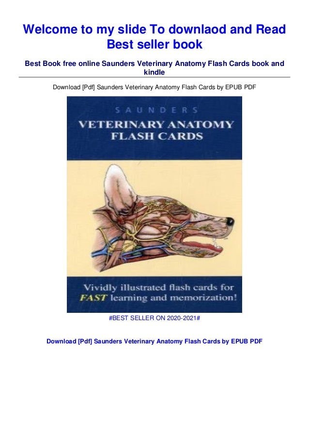 Saunders Veterinary Anatomy Flash Cards 1e Anatomy Fl vrogue.co