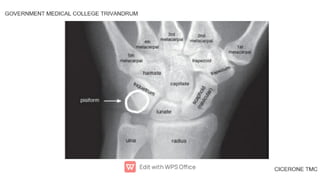 First Year Radiography Notes Radiology anatomy first year images xrays | PDF