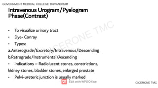 Radiology anatomy first year images xrays | PDF