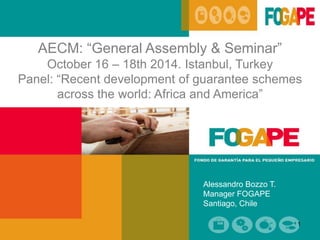 AECM: “General Assembly & Seminar”
October 16 – 18th 2014. Istanbul, Turkey
Panel: “Recent development of guarantee schemes
across the world: Africa and America”
1
Alessandro Bozzo T.
Manager FOGAPE
Santiago, Chile
 