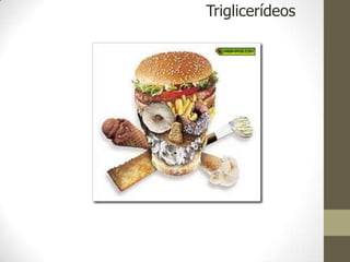 Triglicerídeos
 