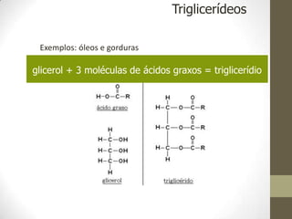 Exemplos: óleos e gorduras
glicerol + 3 moléculas de ácidos graxos = triglicerídio
Triglicerídeos
 