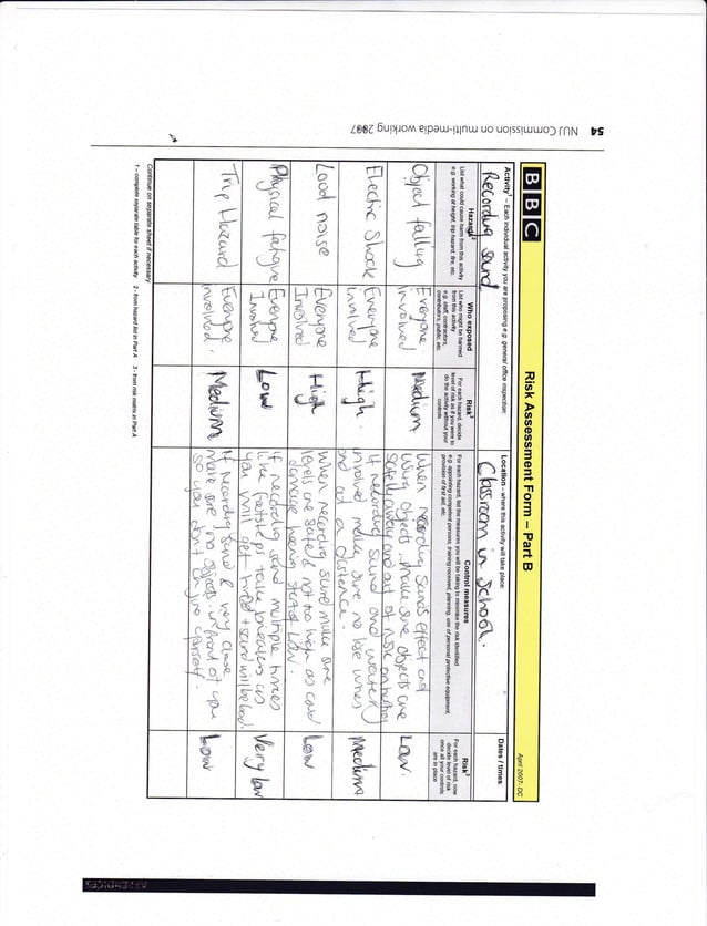 Risk Assessment - Sound | PDF | Medical Health