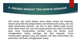 Otot tulang, dan sendi bekerja sama dalam proses kita bergerak.
Seperti yang telah kita pelajari bahwa otot terlekat pada tulang, dan otot
dapat berkontraksi (tertarik), nah otot ini akan melekat pada sisi-sisi
sendi dalam tubuh kita, jadi saat terjadi gerakan,otot pada sisi tertentu
pada sendi menyesuaikan perintah yang kita berikan untuk
menggerakkan tulang sehingga kita bisa bergerak. Untuk
menyesuaikan gerakan yang kita inginkan otot akan berkontraksi dan
sendi akan membantu menggerakkan tulang.
 
