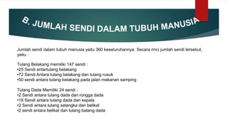 Jumlah sendi dalam tubuh manusia yaitu 360 keseluruhannya. Secara rinci jumlah sendi tersebut,
yaitu :
Tulang Belakang memiliki 147 sendi :
•25 Sendi antartulang belakang
•72 Sendi Antara tulang belakang dan tulang rusuk
•50 sendi antara tulang belakang pada jalan makanan samping
Tulang Dada Memiliki 24 sendi :
•2 Sendi antara tulang dada dan rongga dada
•18 Sendi antara tulang dada dan kepala
•2 Sendi antara tulang selangka dan belikat
•2 sendi antara belikat dan tulang batang dada
 