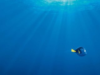 Download finding dory 2016 full movie