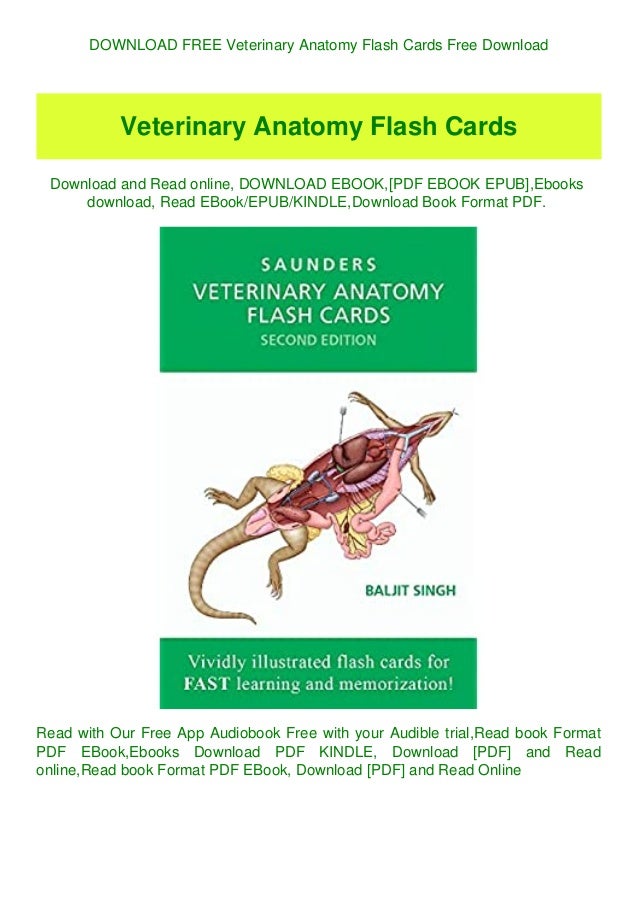 DOWNLOAD FREE Veterinary Anatomy Flash Cards Free Download
