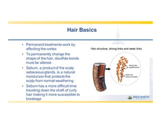 Hair  Basics
• Permanent  treatments  work  by  
affecting  the  cortex
• To  permanently  change  the  
shape  of  the  hair,  disulfide  bonds  
must  be  altered
• Sebum,  a  product  of  the  scalp  
sebaceous  glands,  is  a  natural  
moisturizer  that  protects  the  
scalp  from  normal  weathering
• Sebum  has  a  more  difficult  time  
traveling  down  the  shaft  of  curly  
hair  making  it  more  susceptible  to  
breakage
 