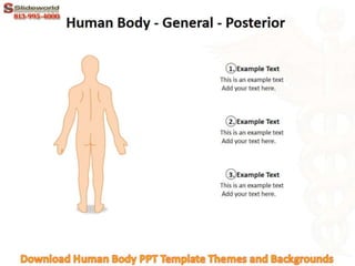 Download Human Body PPT Template Themes and Backgrounds