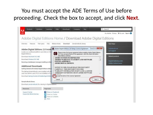 Adobe Adobe