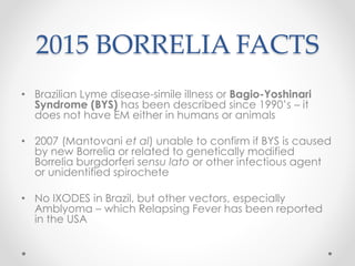 Borrelia in Brazil – Fact or Fiction? A Collaborative Study with a One Health Approach, Klaisy Christina PETTAN-BREWER